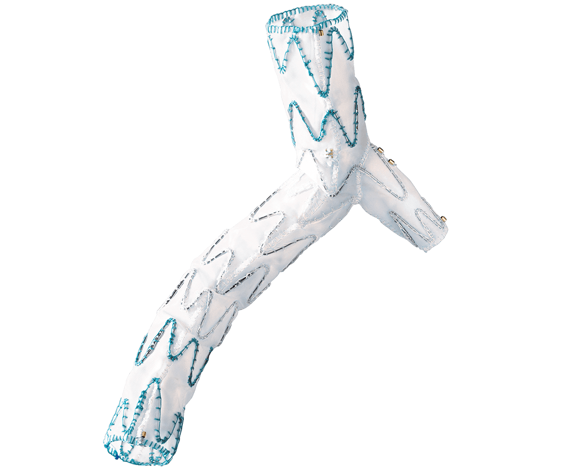 E-liac™ Iliac Side Branch Stent Graft System