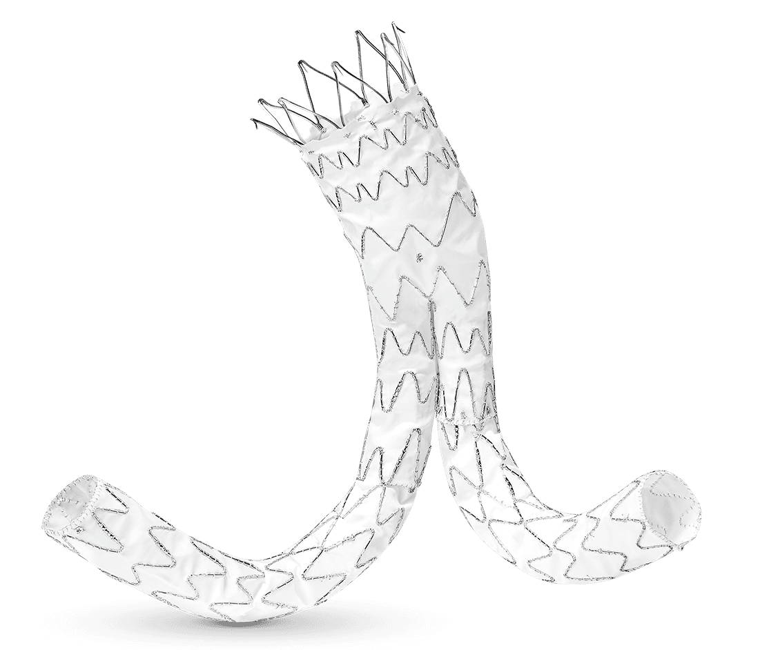 E-tegra™ Abdominal Stent Greft Sistemi