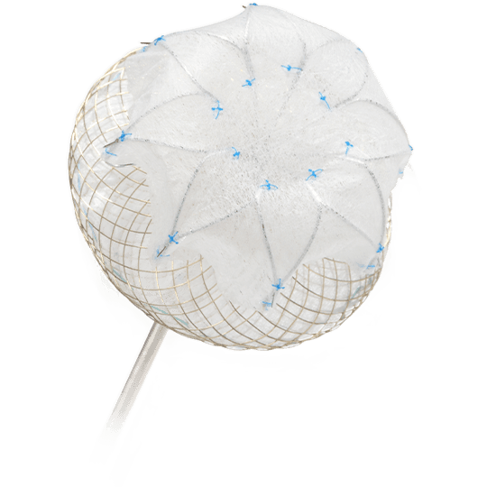 LAmbre Left Atrium Appendage Closure System